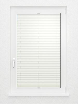 Preview Plissee Krepp B1 17.0303 3