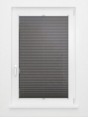 Preview Plissee Krepp B1 30.0406 3