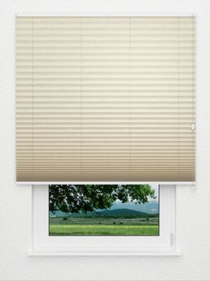 Plissee Crush Perl 02.0509 Fensteransicht