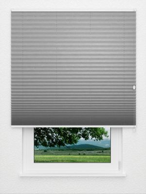 Preview Plissee Crush 3109.3570 0