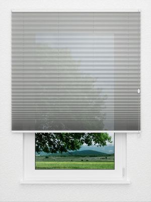 Preview Plissee Toccata B1 2181.5024 0