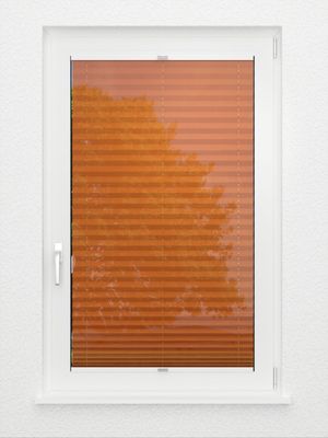 Preview Plissee Toccata B1 2130.5026 3