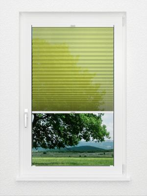 Preview Plissee Toccata B1 2150.5027 2