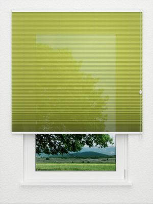 Preview Plissee Toccata B1 2150.5027 0