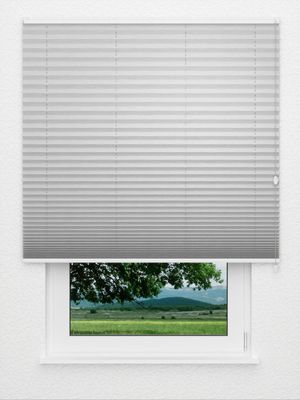 Preview Plissee Maestoso 2280.5049 0