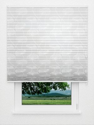 Plissee Glossy Flowers 5501.8853 Fensteransicht