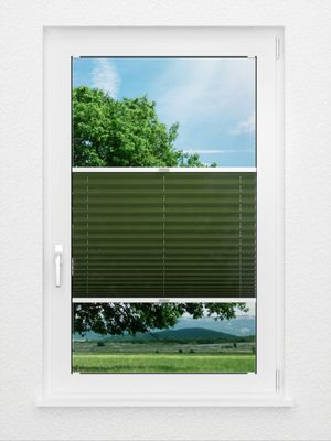 Preview Plissee Naturale 6606.9453 1