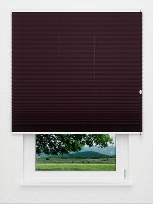 Plissee Concept Night 4517.0705 Fensteransicht