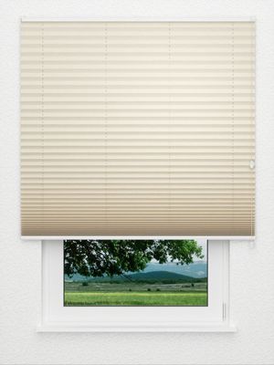 Plissee Crush 6002.3567 Fensteransicht