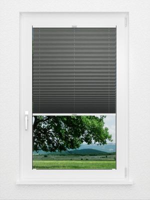 Preview Plissee Crush Perl 2583.3309 2