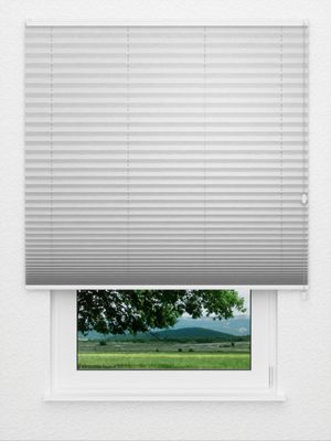 Preview Plissee Crush Perl 3309.3566 0