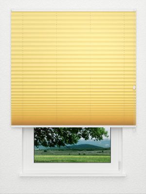 Plissee BrilliantNight 4020.1611 Fensteransicht