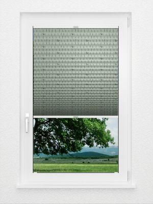 Preview Plissee Dandelion 3409.8653 2