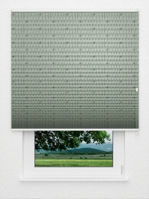 Plissee Dandelion 3409.8653 Fensteransicht