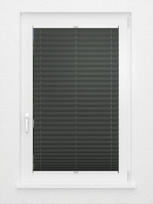 Preview Plissee Libretto 2108.0214 3