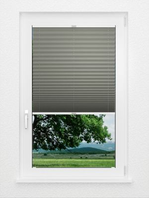 Preview Plissee Libretto 2109.1315 2