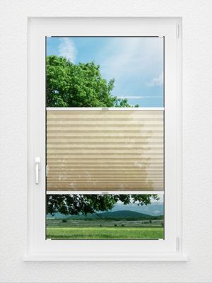 Preview Plissee Sensibile 7901.6253 1