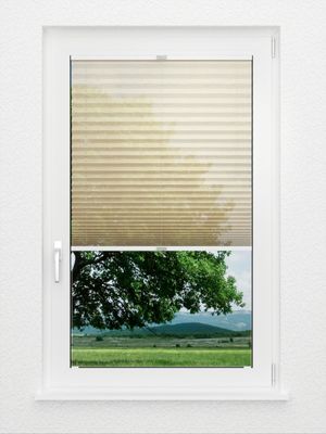 Preview Plissee Sensibile 7901.6253 2