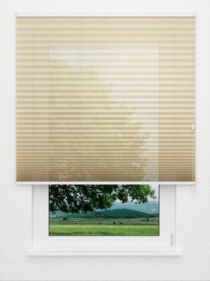 Preview Plissee Sensibile 7901.6253 0