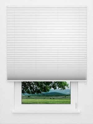 Plissee Bambus 3500.1706 Fensteransicht