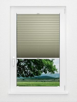 Preview Plissee Krepp B1 1030.0310 2