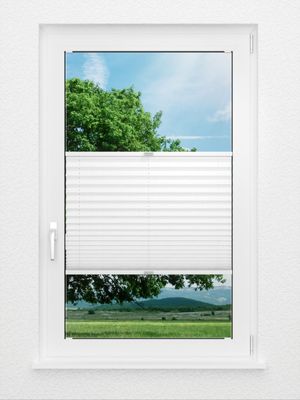 Preview Plissee Risoluto 4400.3107 1