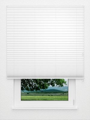 Plissee Risoluto 4400.3107 Fensteransicht