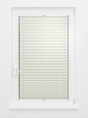 Preview Plissee Risoluto 4410.3120 3