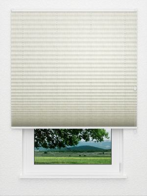 Plissee Risoluto 4410.3120 Fensteransicht