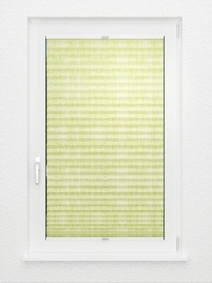 Preview Plissee Risoluto 4450.3121 3