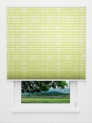 Plissee Risoluto 4450.3121 Fensteransicht