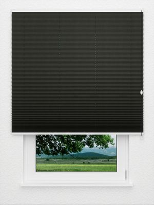 Preview Plissee Cotton 3108.0217 0