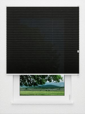 Preview Plissee Crush 2080.1404 0