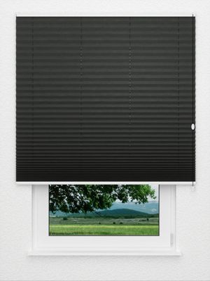 Preview Plissee Crush Perl 2581.1207 0