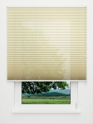 Preview Plissee Allegro 1210.3204 0