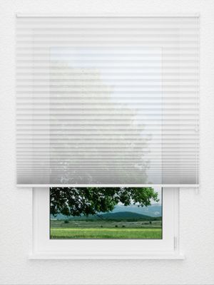 Preview Plissee Allegro 1200.3205 0