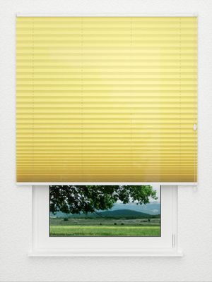 Plissee Kreppa 1303.0506 Fensteransicht