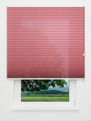 Plissee Empty 5104.3280 Fensteransicht