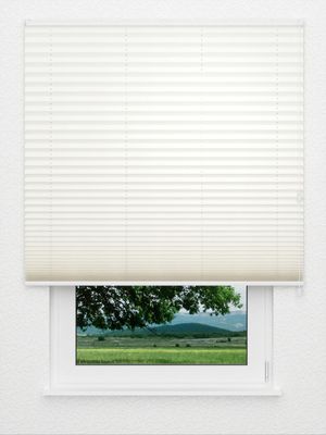 Plissee Smooth DO 8001.3369 Fensteransicht