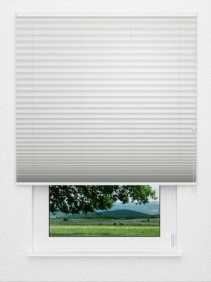 Plissee Krepp Black Out 4901.3363 Fensteransicht