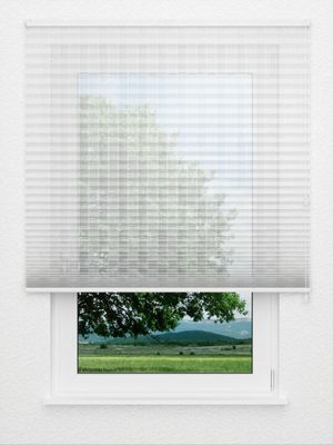 Plissee Trellis Light 7101.9705 Fensteransicht