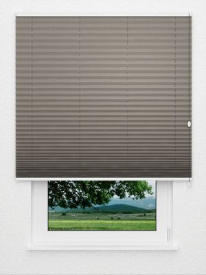 Plissee Vigoroso 1470.8504 Fensteransicht