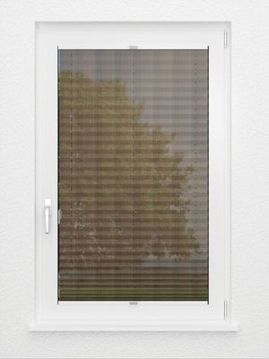 Preview Plissee Pasodoble 8370.6101 3