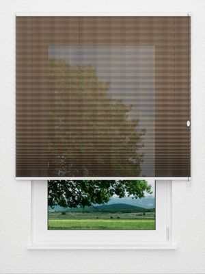 Preview Plissee Pasodoble 8370.6101 0