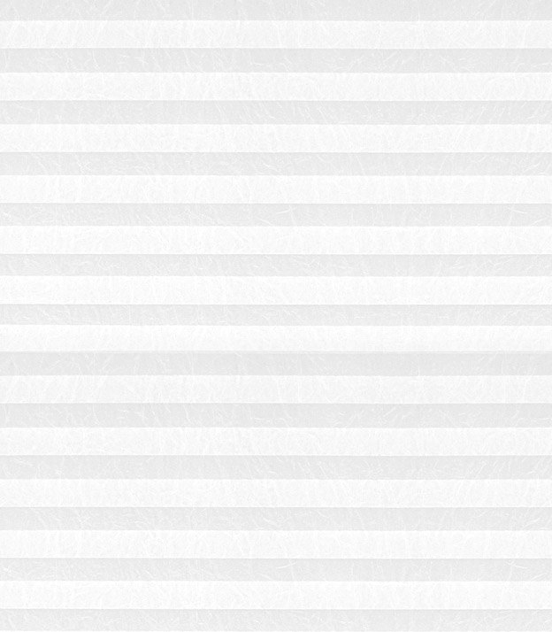 Detailansicht Plissee Crush 01.0202