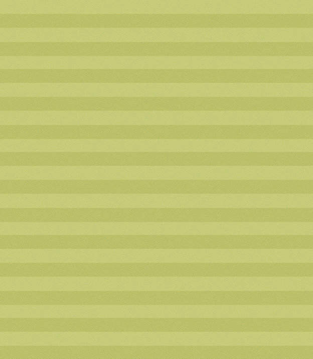 Detailansicht Plissee Kreppa 1306.1256