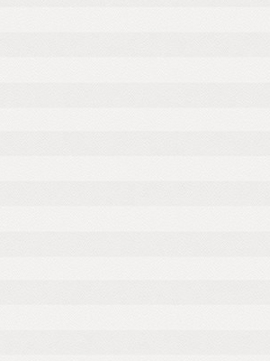 Preview Plissee Kreppa Perlex 1601.1554 4