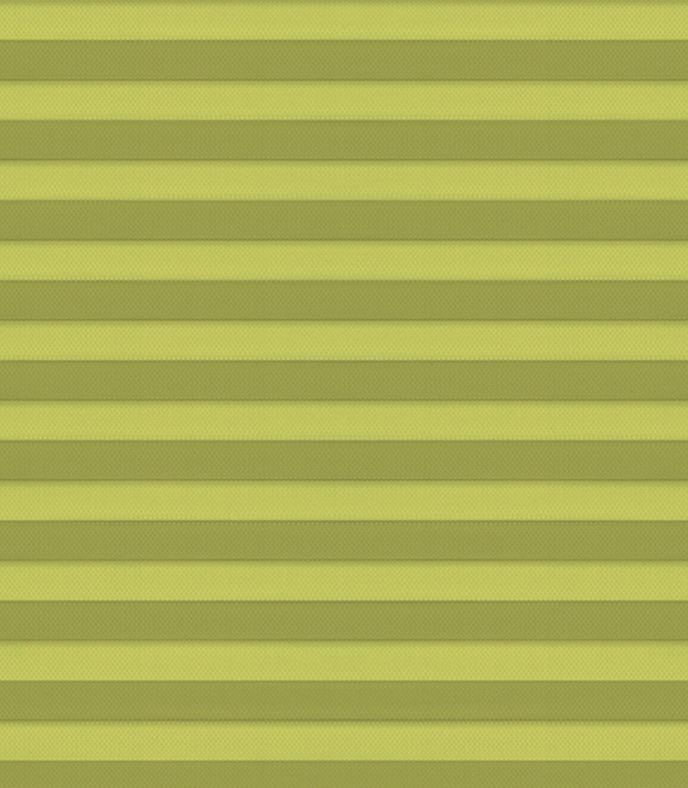 Detailansicht Pinon 59.556