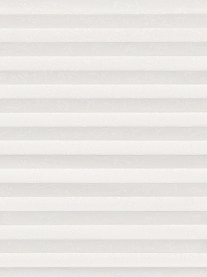 Preview Maestra 12.055 0