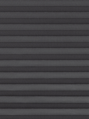 Preview Pinon 30.556 0